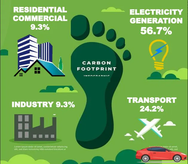Carbon Footprint by Sector